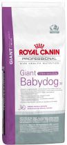 giant_babydog.jpg