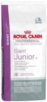 giant_junior_31.jpg
