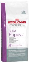 giant_puppy_34.jpg