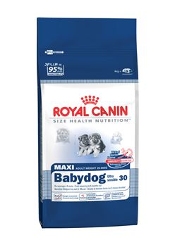 maxi_babydog_30.jpg