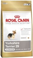 york_ju-packshot_small.jpg
